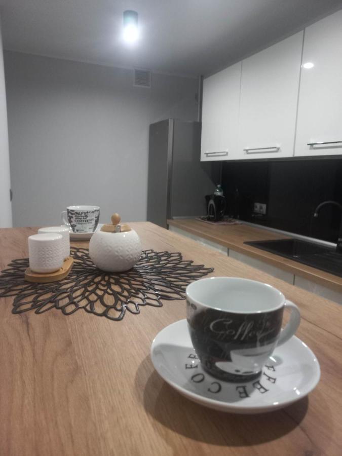 Apartament W Centrum Raciborza Extérieur photo
